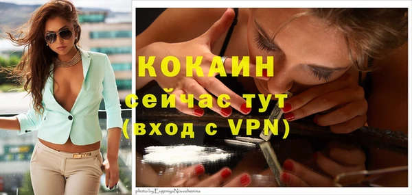 стафф Каменск-Шахтинский